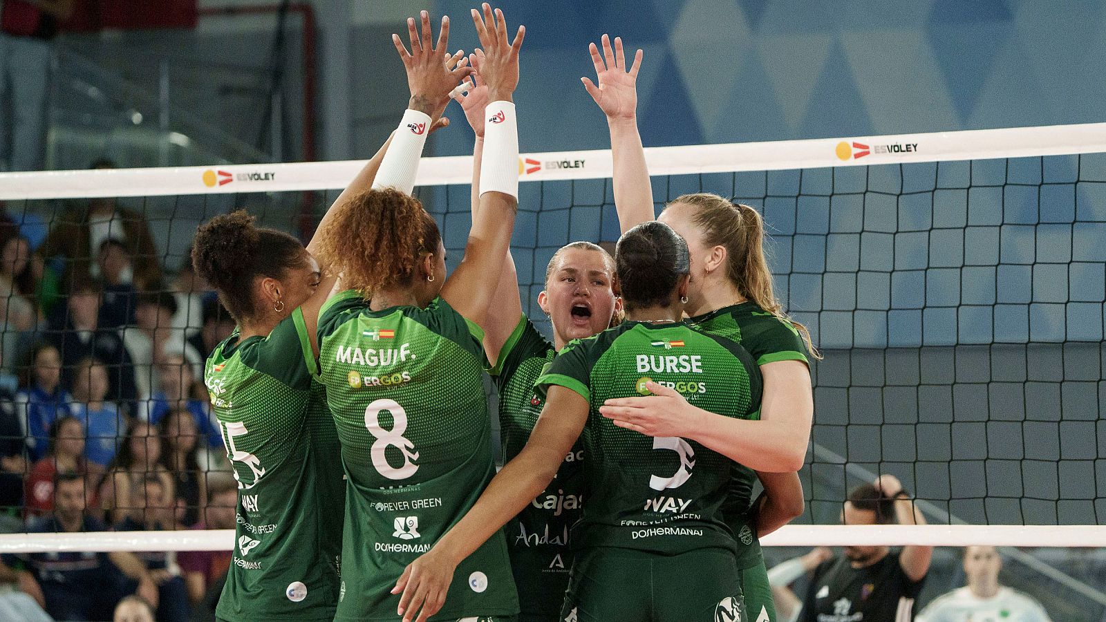 Voleibol | El Cajasol Andalucía gana la Copa de la Reina 2026 - Voleibol | Ver