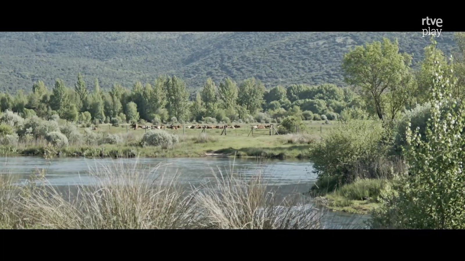 Ríos - Duero - Ríos | Ver