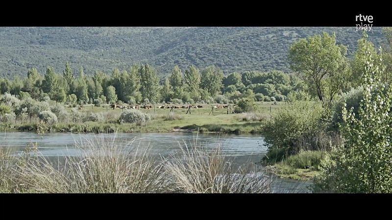 Ríos - Duero - Ríos | Ver