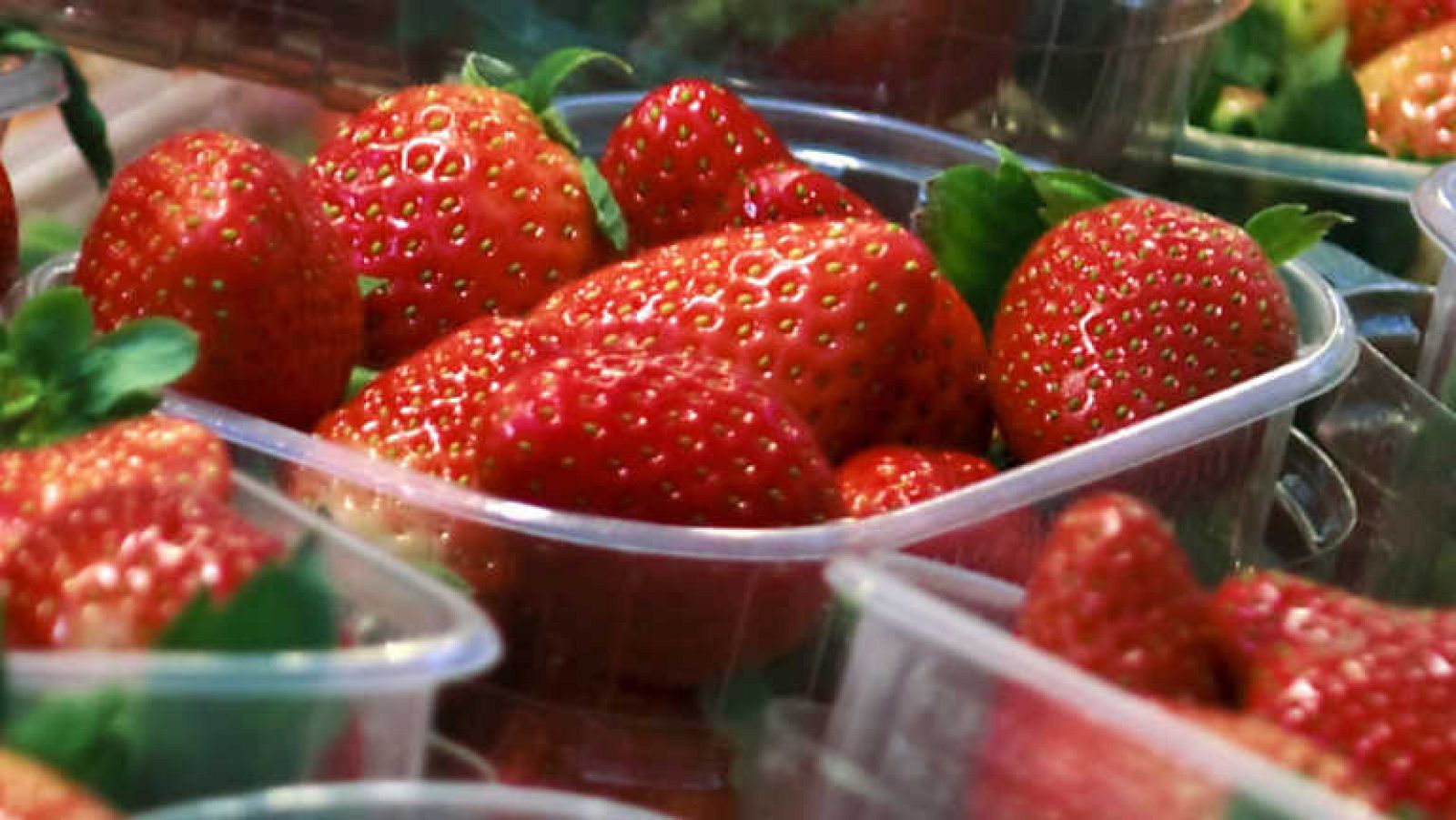 Un país para comérselo - Huelva. Strawberry Fields y un poquito de jamón - Ver ahora