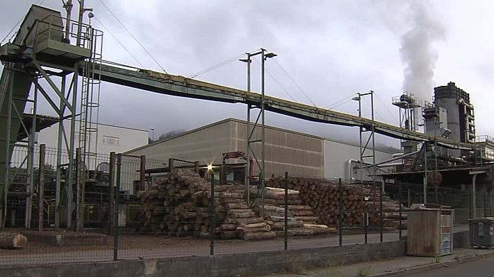 Telenorte - País Vasco - Comité de empresa de Maderas de Llodio exige intervención institucional tras cierre unilateral de negociaciones por parte la empresa
