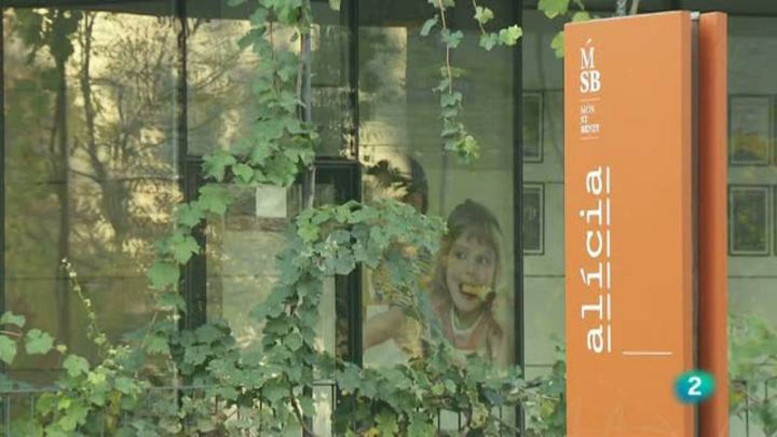 Tinc una idea - Projectes:  La fundació alícia, la ciència del menjar