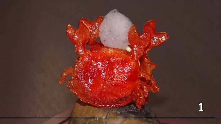 Panorama Regional - Panorama Regional 2 - 27/01/26