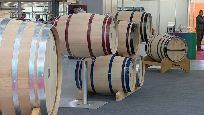 Noticias de Castilla y León - Agrovid: La viña y la bodega, en la Feria de Valladolid