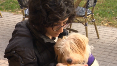 Perros contra la diabetes: la primera perra de asistencia m�dica en Espa�a