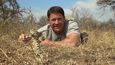 Fauna letal - Episodio 5: Sud�frica 2 - Fauna letal | Ver