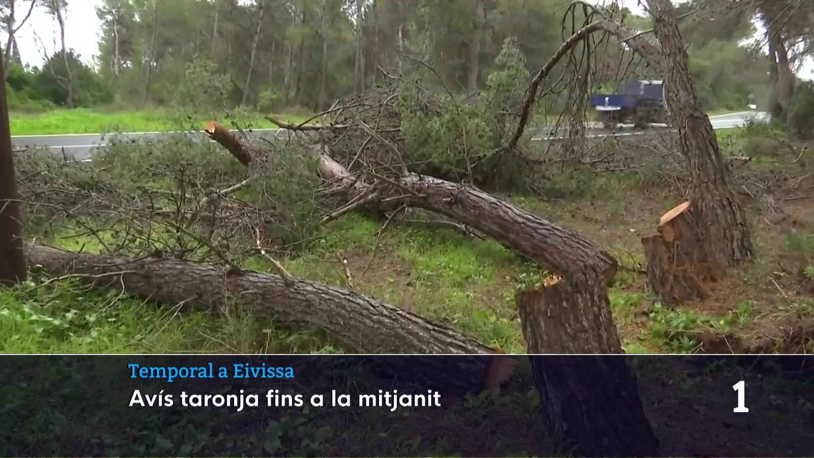 Informatiu Balear 2 - 28/01/26 Veure ara