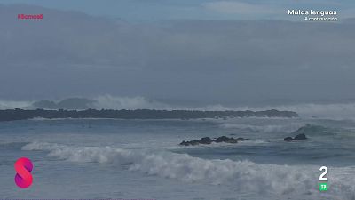 Somos 8 - 28/01/2026