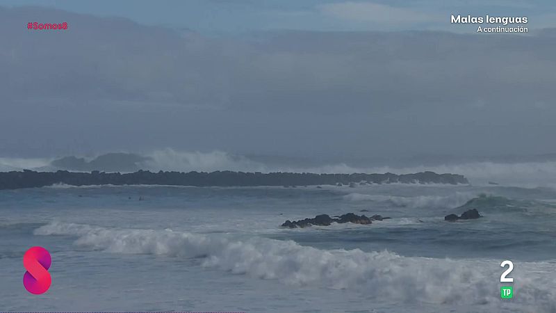 Somos 8 - 28/01/2026 - Somos 8 | Ver