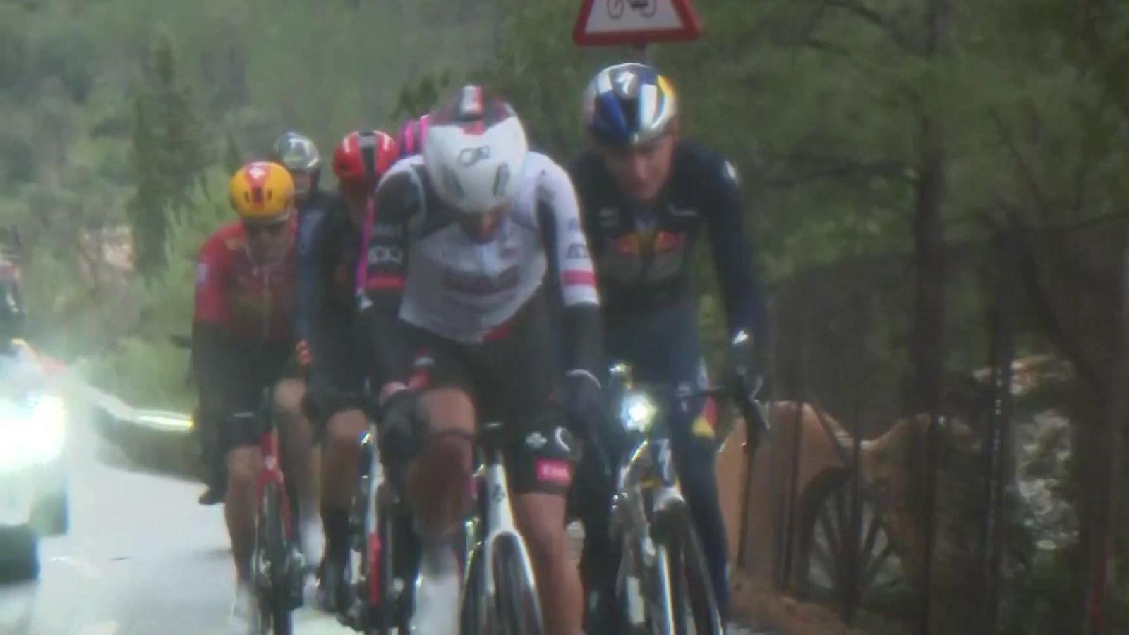 Ciclismo - Challenge Mallorca Masculina. Trofeo Calvià - Palmanova - Ciclismo | Ver