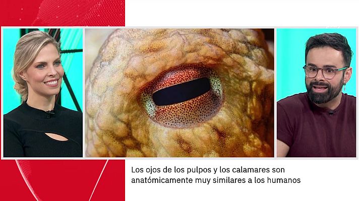 La aventura del Saber - Ricardo Moure. Los ojos en la naturaleza