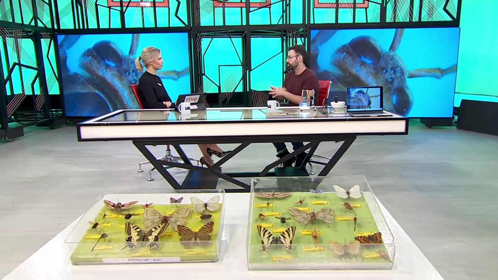 La aventura del saber - 29/01/26 - La aventura del Saber | Ver