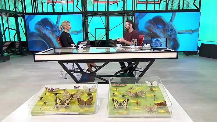 La aventura del Saber - La aventura del saber - 29/01/26