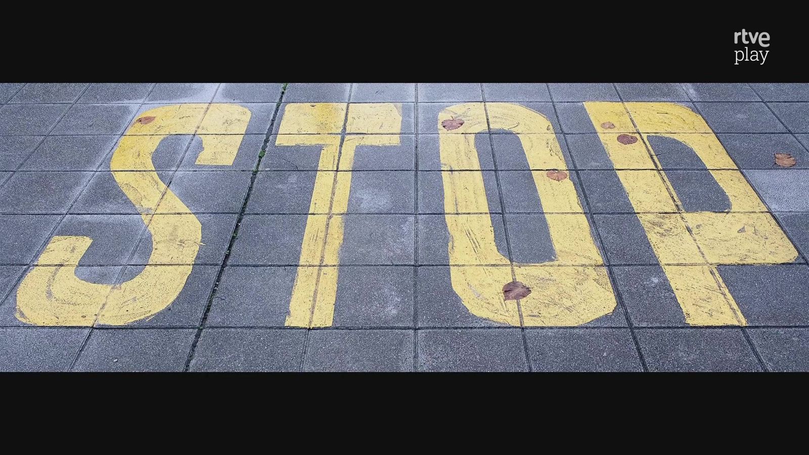 Boek Visual: José Badás | Ver