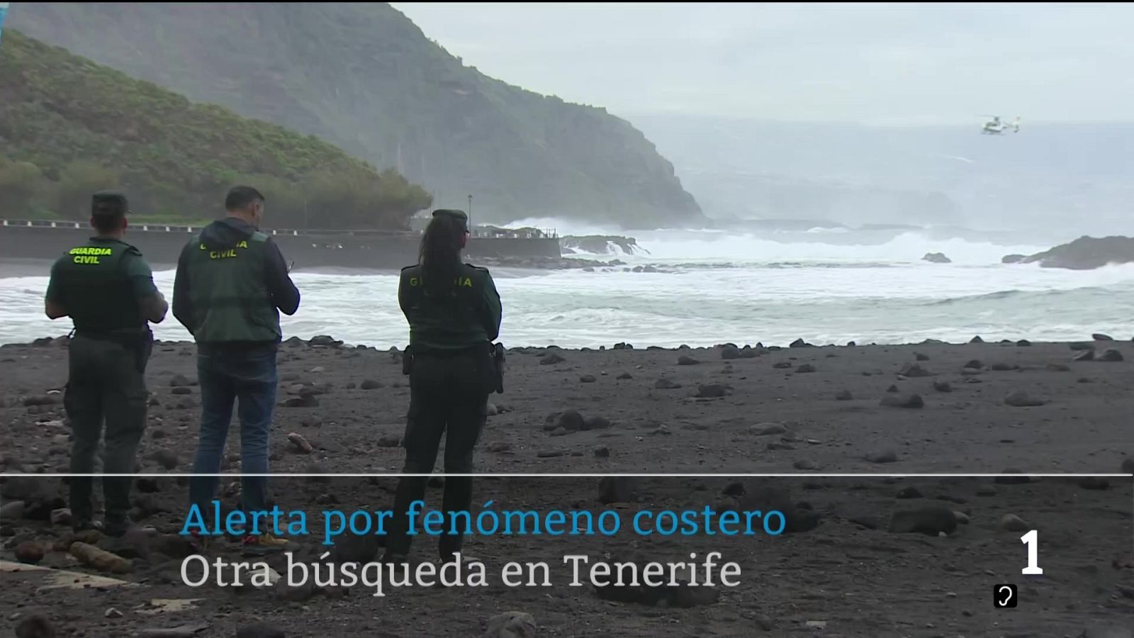 Telecanarias - 29/01/2026 | Ver