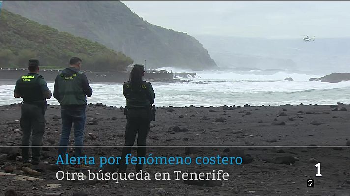 Telecanarias - Telecanarias - 29/01/2026