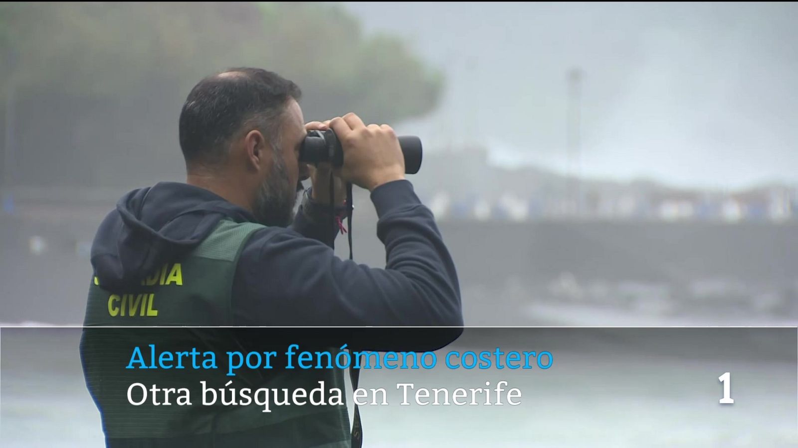 Canarias en 2' - 29/01/2026 | Ver