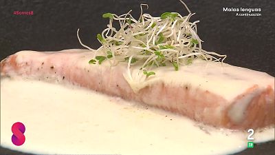 Somos 8 - 29/01/2026