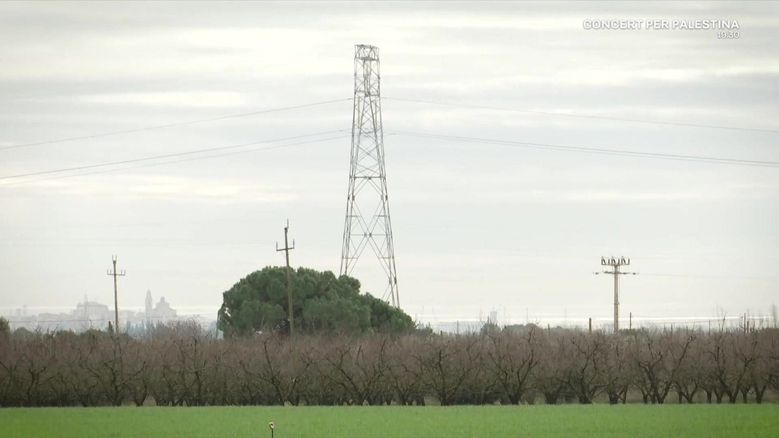 MAT, 'Mural del petó' i Act X Palestine - L'Altaveu - L'altaveu | Veure