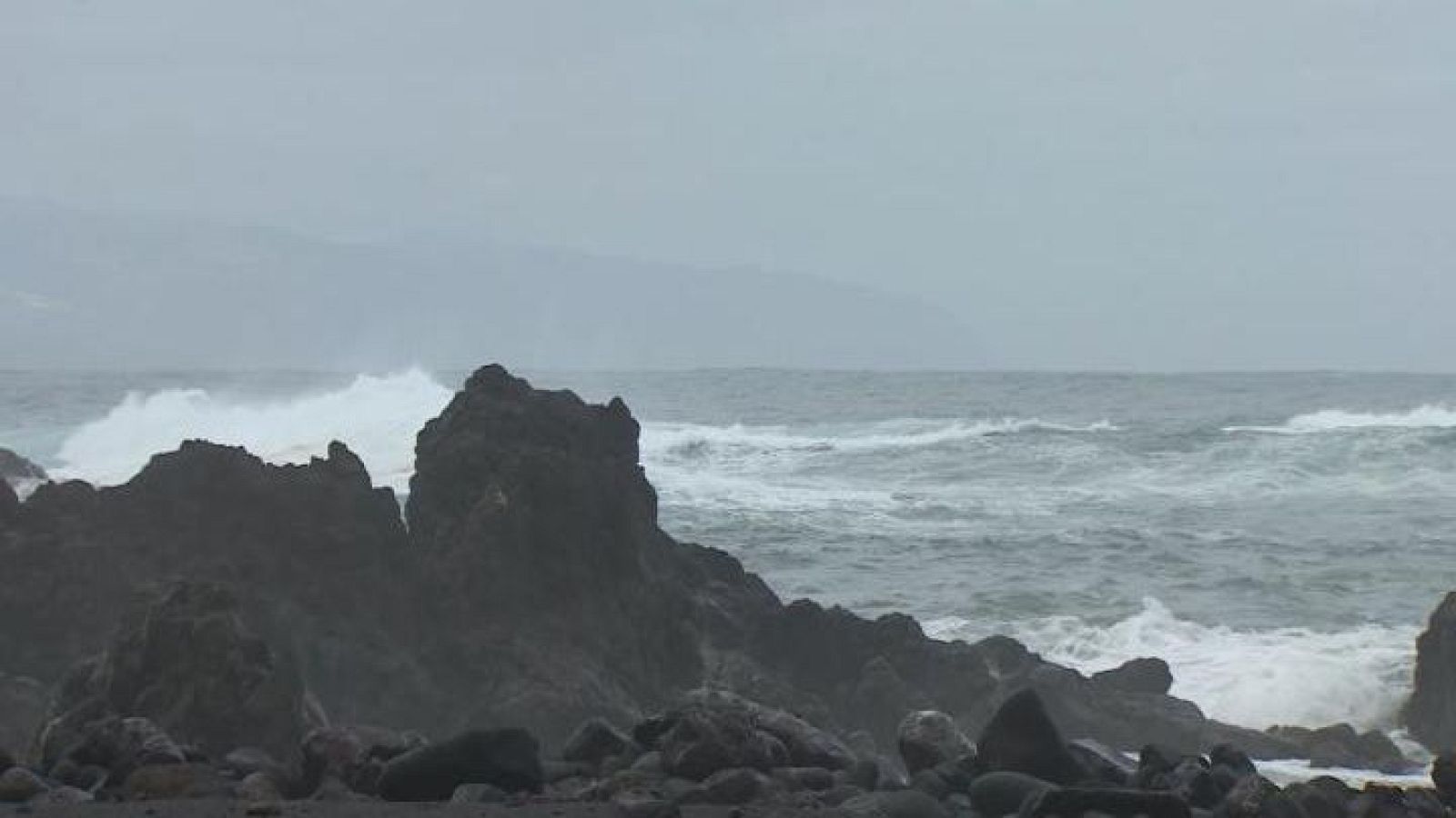 Telecanarias Tarde - 29/01/2026 | Ver