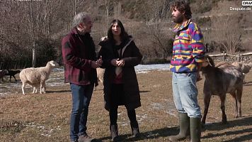 En pleno Pirineo y con la intenci�n de formar a la nueva generaci�n de ganaderos: as� es la Escuela de Pastoreo en Arag�n