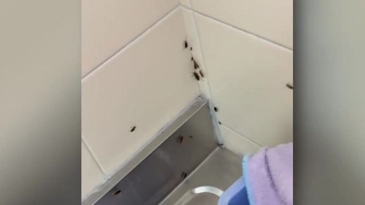 Mañaneros 360 - Residencia con "condiciones infrahumanas"