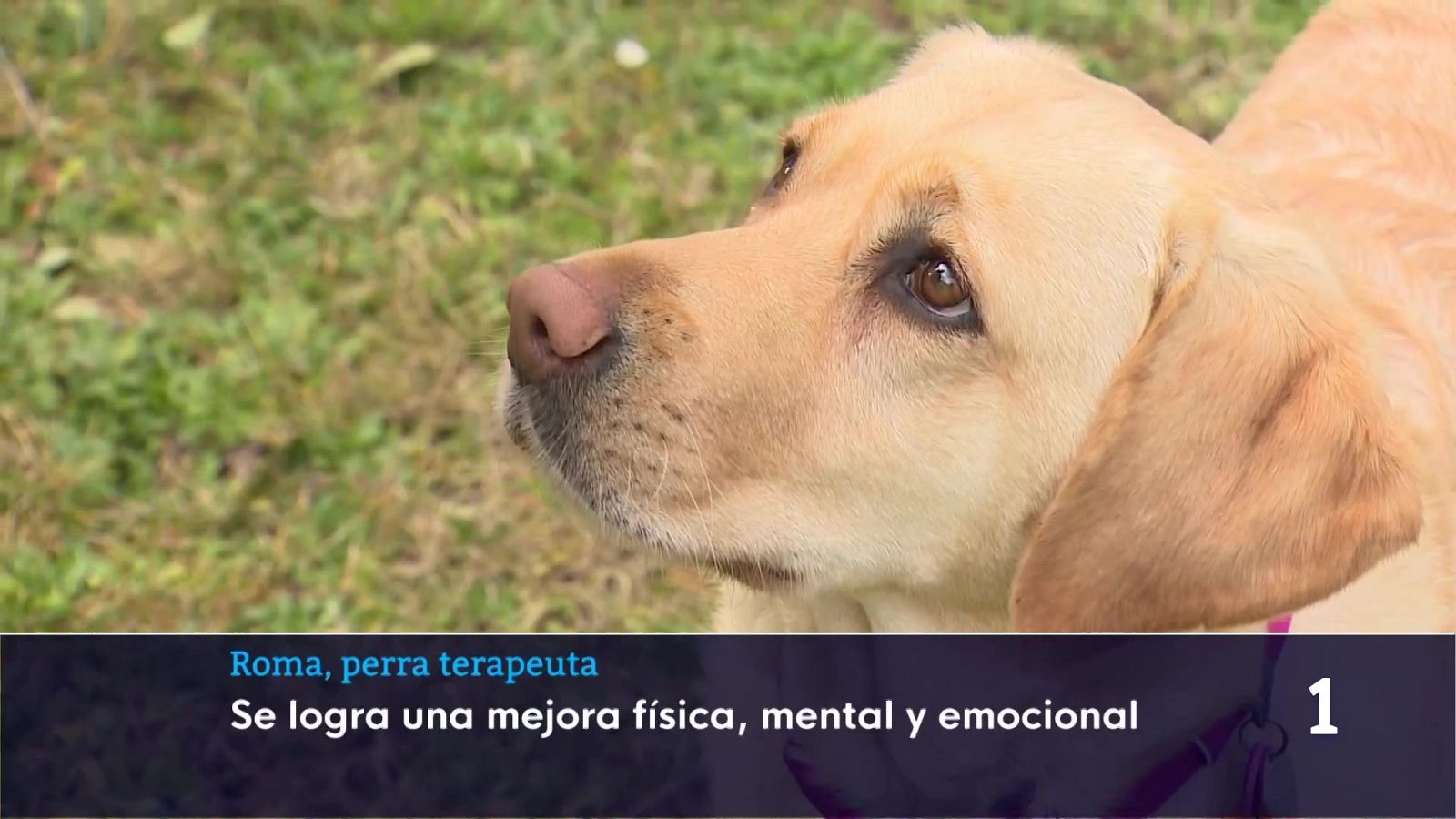 Informativo Telerioja - 30/01/26 - Informativo Telerioja | Ver