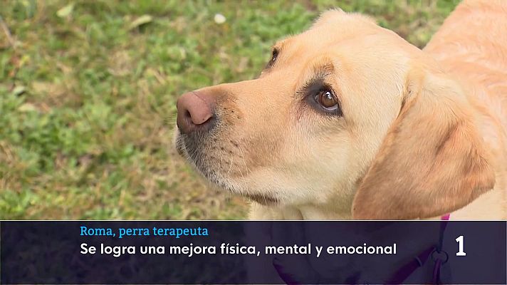 Informativo Telerioja - Informativo Telerioja - 30/01/26