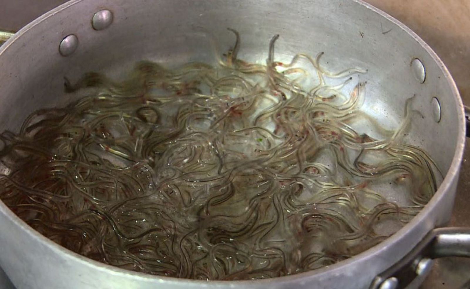 Las angulas, un plato de lujo al borde de la extinción - Telediario 1 | Ver