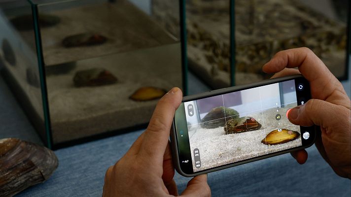 L'informatiu - Comunitat Valenciana - L'Informatiu Comunitat Valenciana 2 - 30/01/26