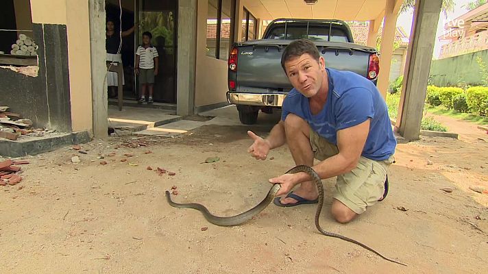 Fauna letal - Sri Lanka 1