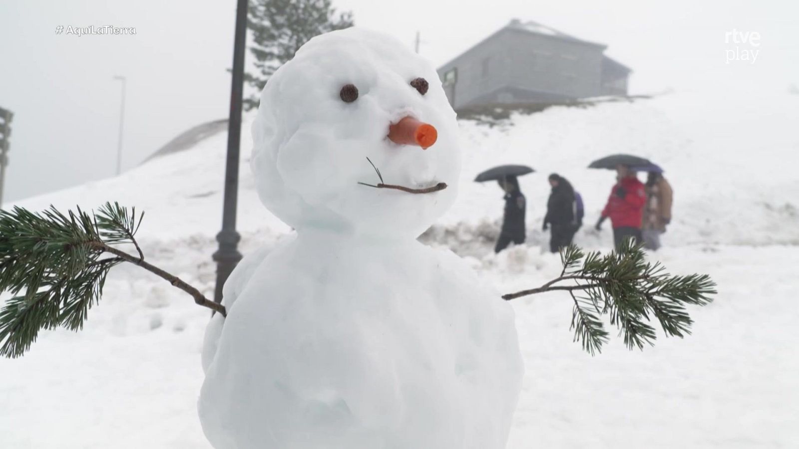 Aquí la Tierra - 30/01/26 - Aquí la Tierra | Ver