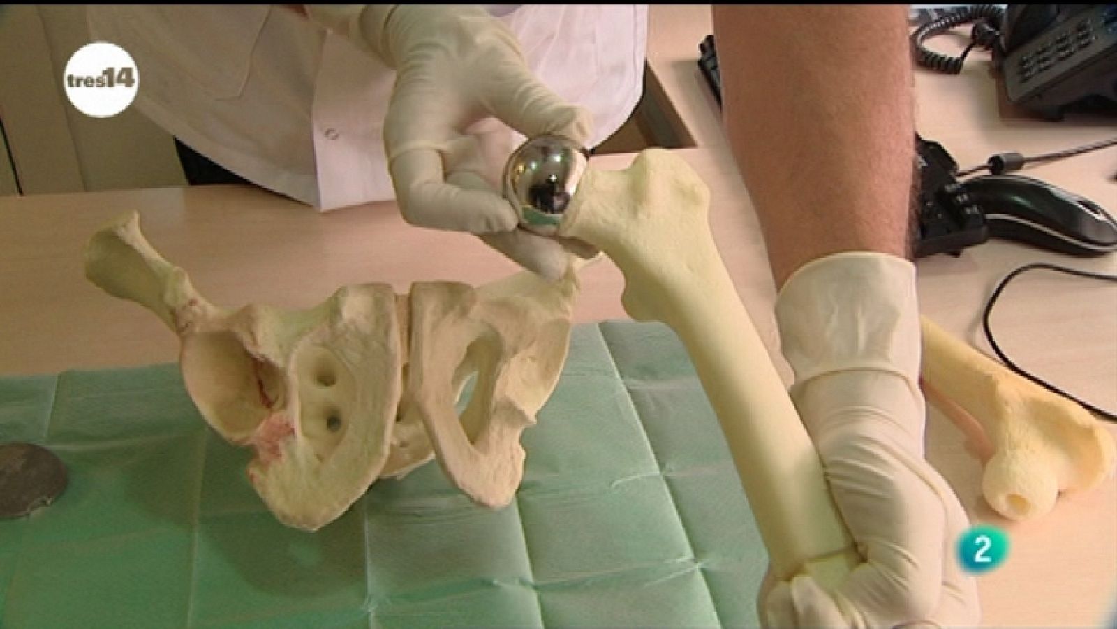 Los huesos también hablan - Aquí la Tierra | Ver