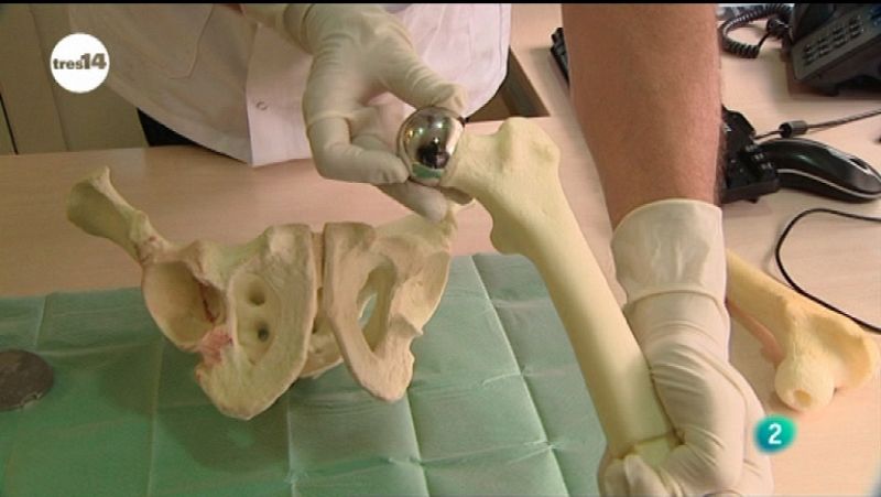 Los huesos también hablan - Aquí la Tierra | Ver