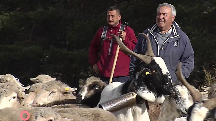 Agrosfera - Agrosfera - 31/01/26