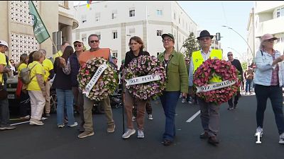 Telecanarias - 31/01/2026