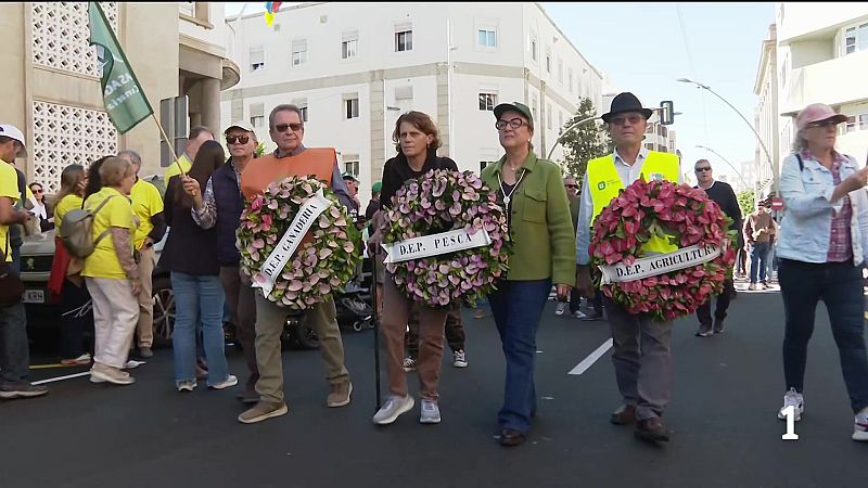 Telecanarias - 31/01/2026 | Ver