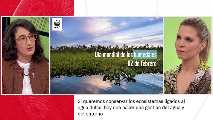 La aventura del Saber - Teresa Gil. Día Mundial de los Humedales