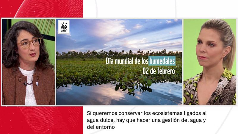 Teresa Gil. Día Mundial de los Humedales | Ver