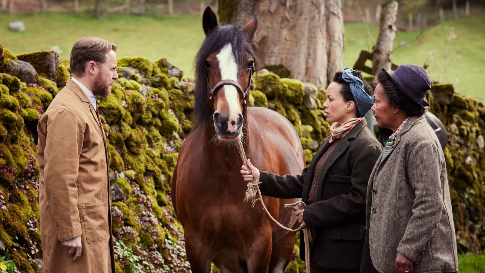 Todas las criaturas grandes y pequeñas - Temporada 4 - Episodio 3: El ayudante | Ver