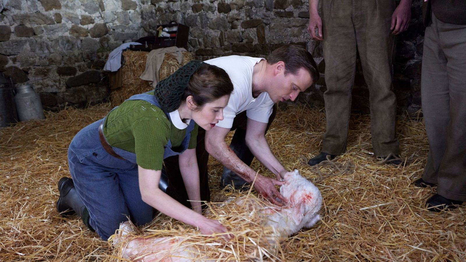 Todas las criaturas grandes y pequeñas - Temporada 4 - Episodio 4: Siguiendo el manual | Ver