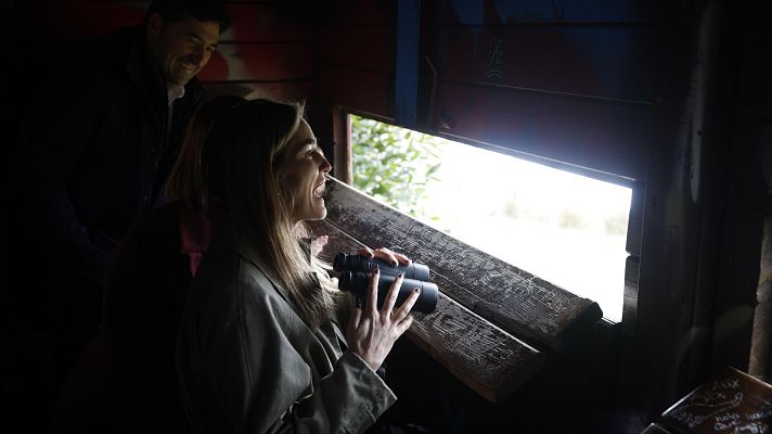 Telenorte - País Vasco - Telenorte 2 País Vasco - 02/02/2026