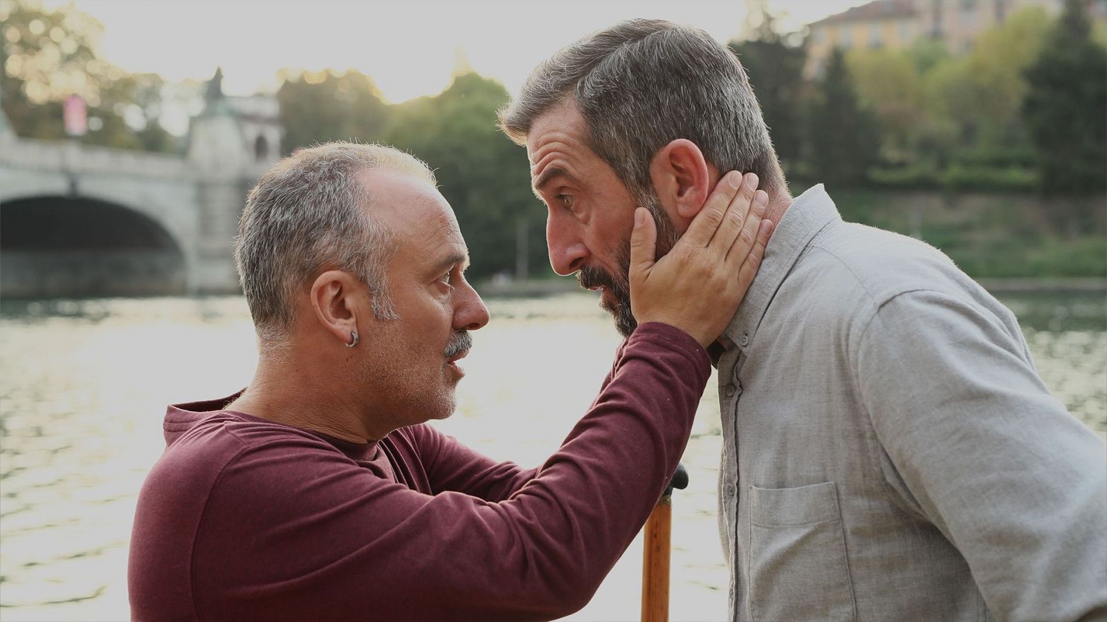 Pájaros | Ver películas gratis en RTVE Play - Somos cine | Ver película