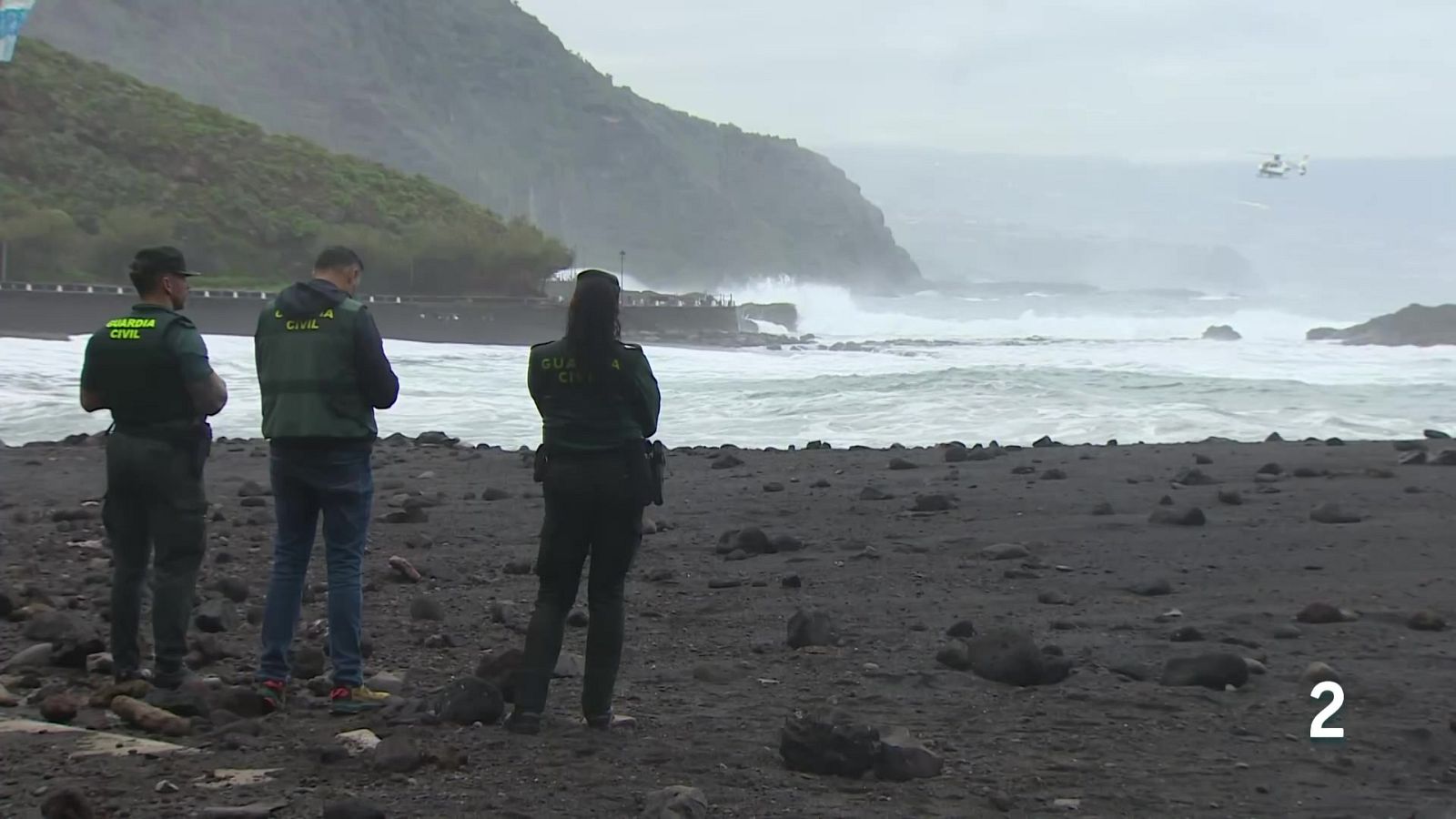 Telecanarias Tarde - 04/02/2026 | Ver