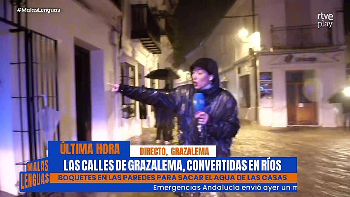 Malas lenguas - Programa 254