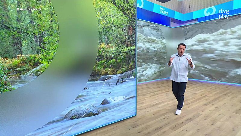 Aquí la Tierra - 04/02/26 - Aquí la Tierra | Ver