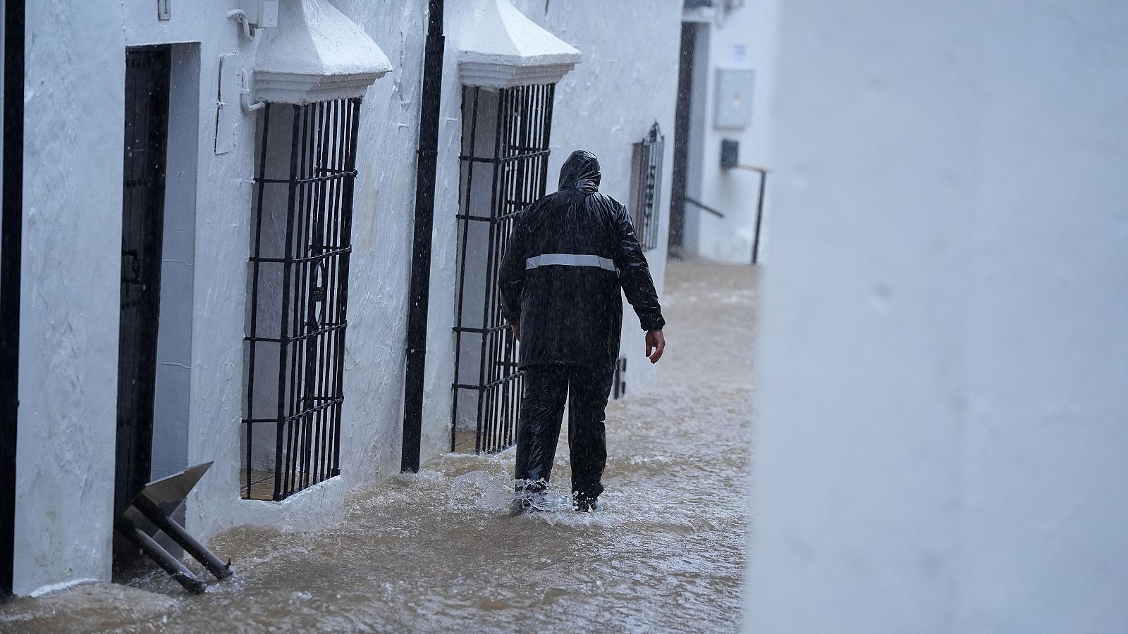 Informativo 24 horas - 20h - 04/02/26 - Informativo 24h | Ver