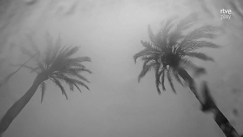 Boek visual: Elisa Torreira | Ver