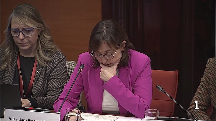 L'Informatiu - Paneque anuncia la gratuïtat sine die fins a la recuperació total de Rodalies