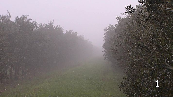 Informativo Telerioja - Telerioja en 2' - 05/02/26